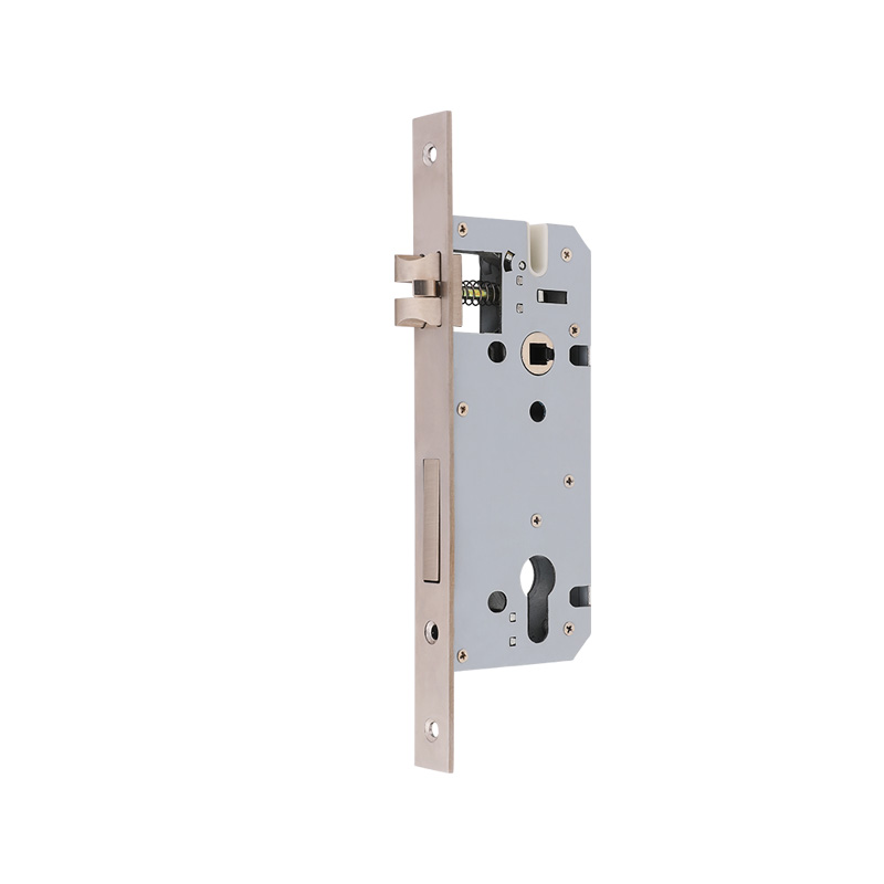 Revolutionizing Home Security: The Advantages of Euro Design Mortise Door Locks