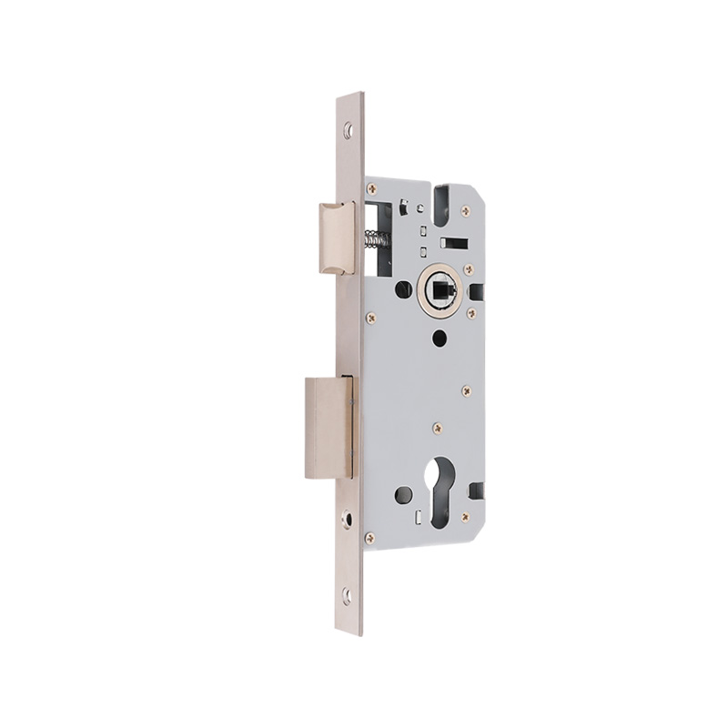 Streamlining Security: The Efficiency of Euro Commercial Interior Sliding Door Mortice Locks